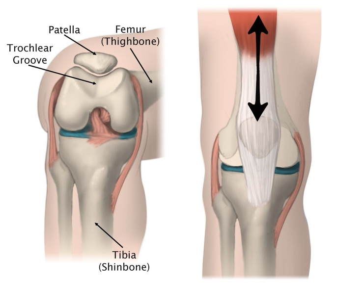 Anterior Knee Pain